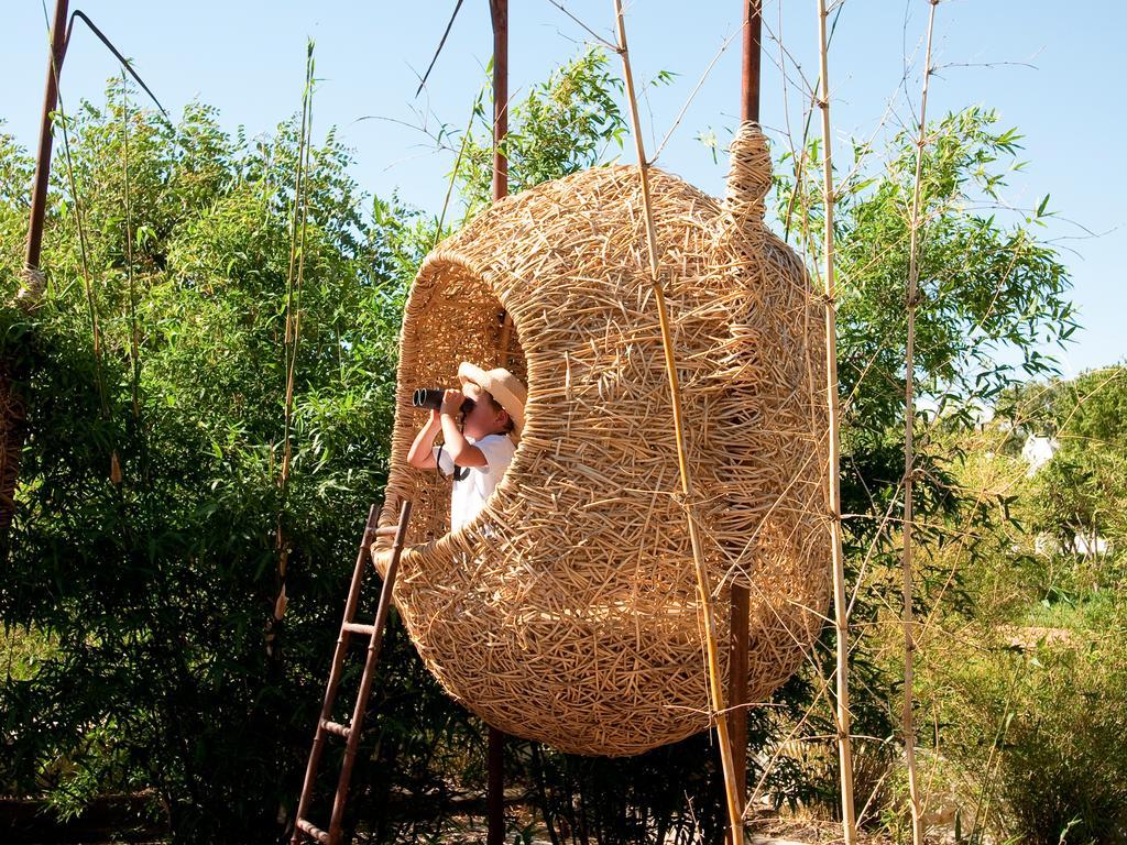 Babylonstoren Simondium Εξωτερικό φωτογραφία